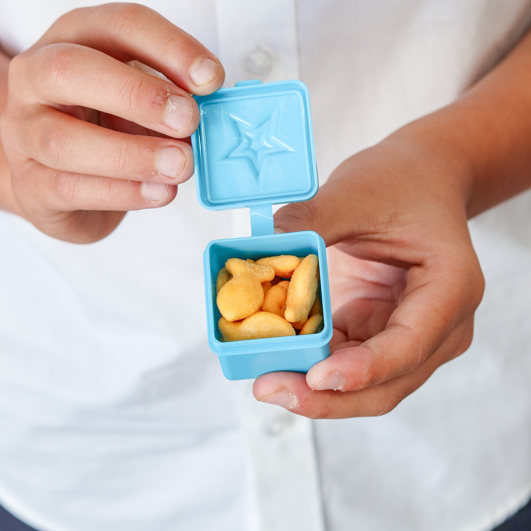 Mini Dip Box Bento Dip & Sauce Boxes - Coastal - Coastal Kidswear