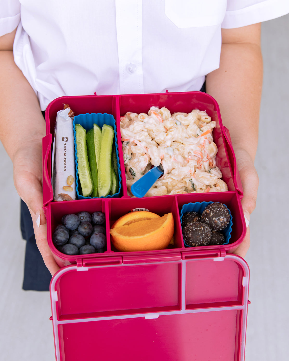 Bento Cups Mixed - Reef