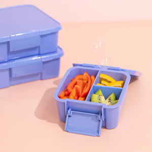 Montiico BENTO 2 - Splash