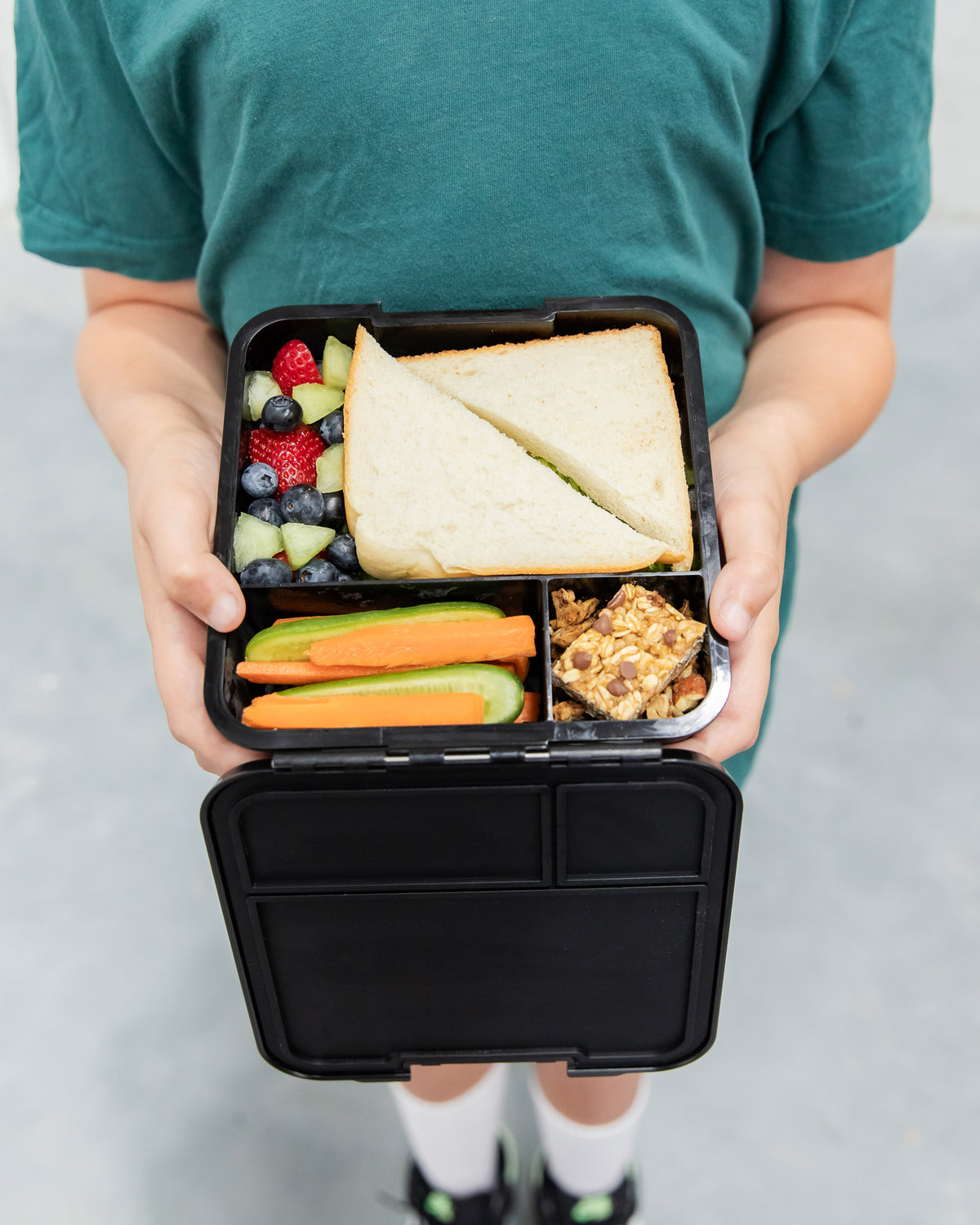 Bento Three Lunch Box - Dinosaur Land