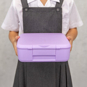 Montiico Feast Box - Lilac