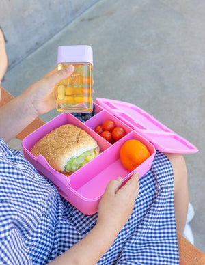 MontiiCo Bento Bottle - Lilac