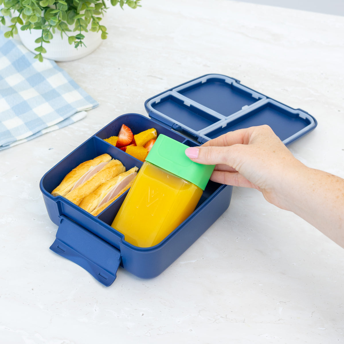 MontiiCo Bento Bottle - Apple