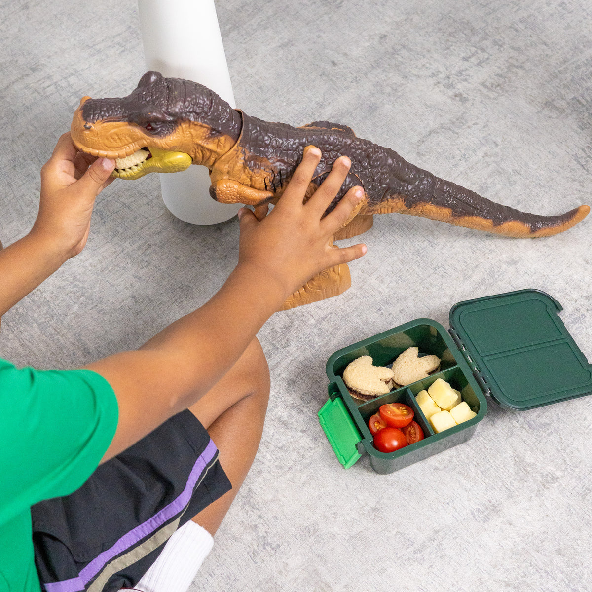 Montiico BENTO 2 - Dinosaur