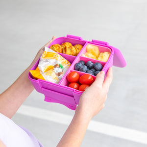 MontiiCo Bite Lunch Box - Fuchsia