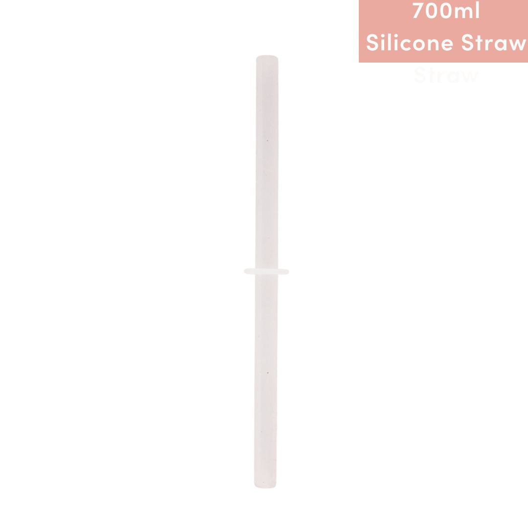 Smoothie Silicone Straw only