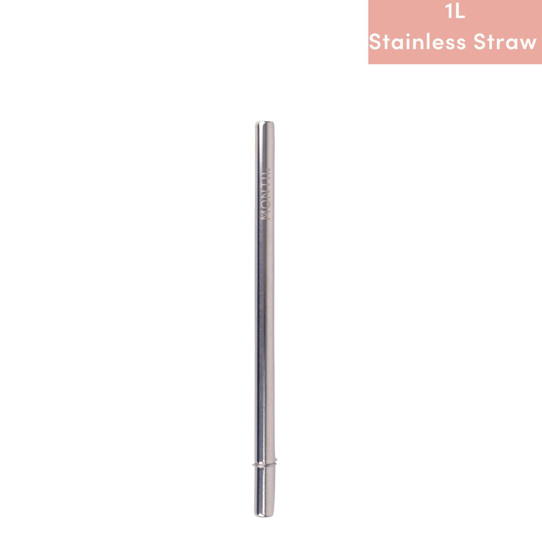Replacement Stainless Straw only