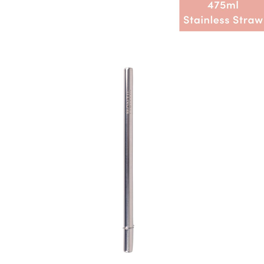 Smoothie Stainless Straw only