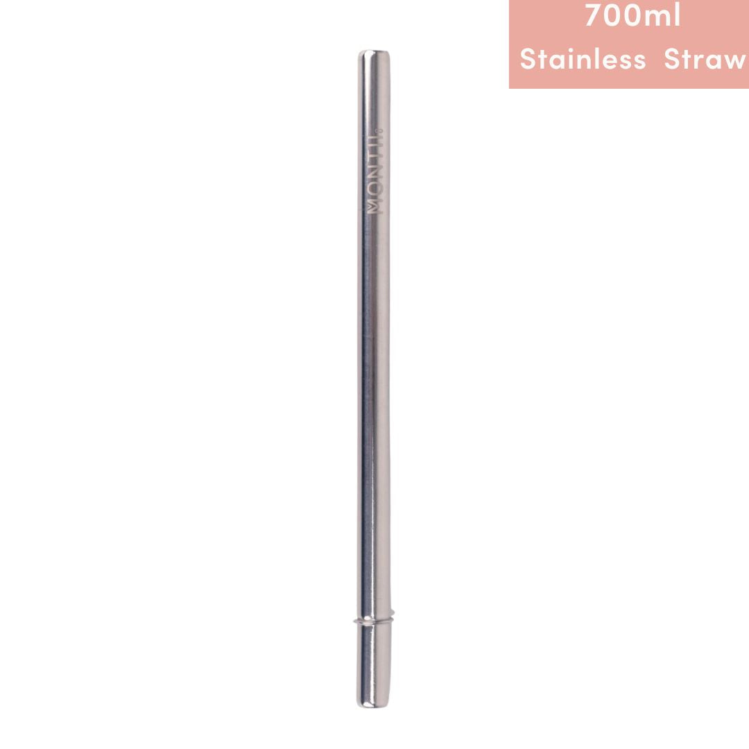 Replacement Stainless Straw only