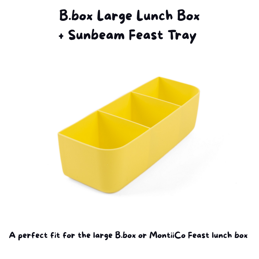 B Box - Lunch Box Large  - Midnight