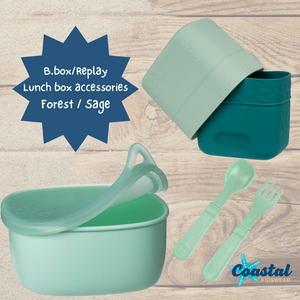 Lunch box Bundle - Forest and Sage