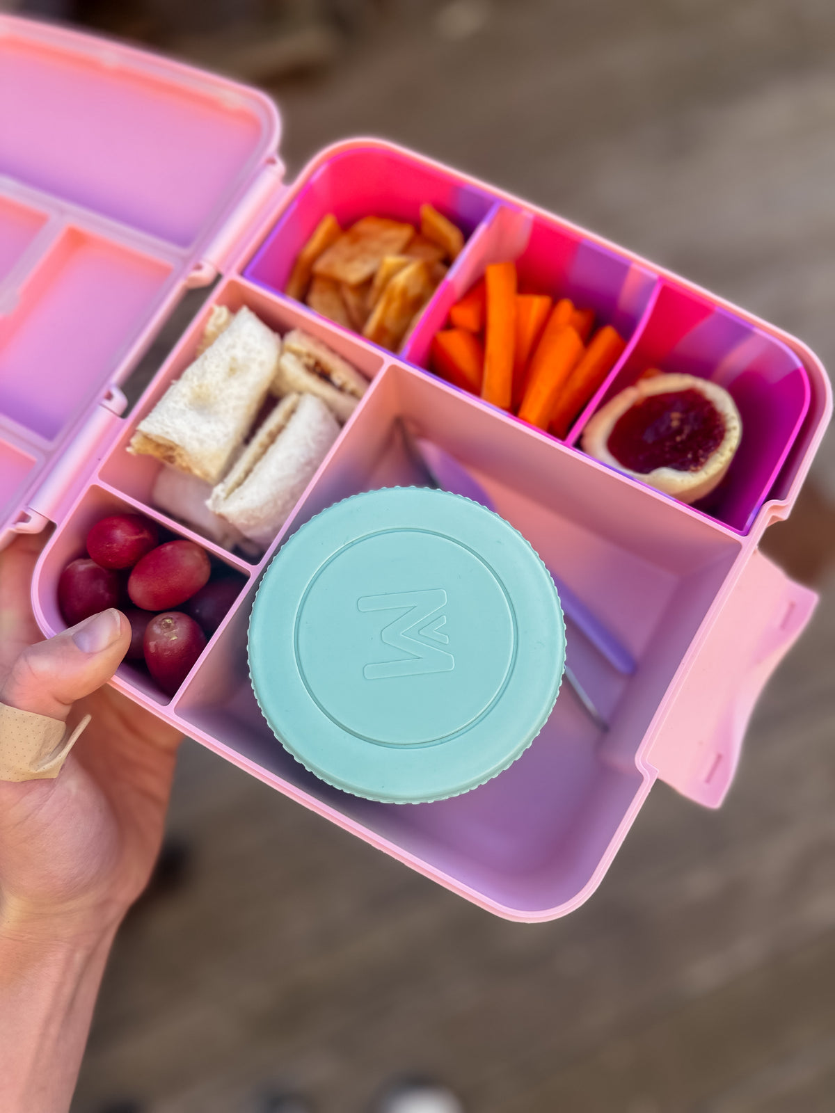 Montiico Feast Box - Dahlia