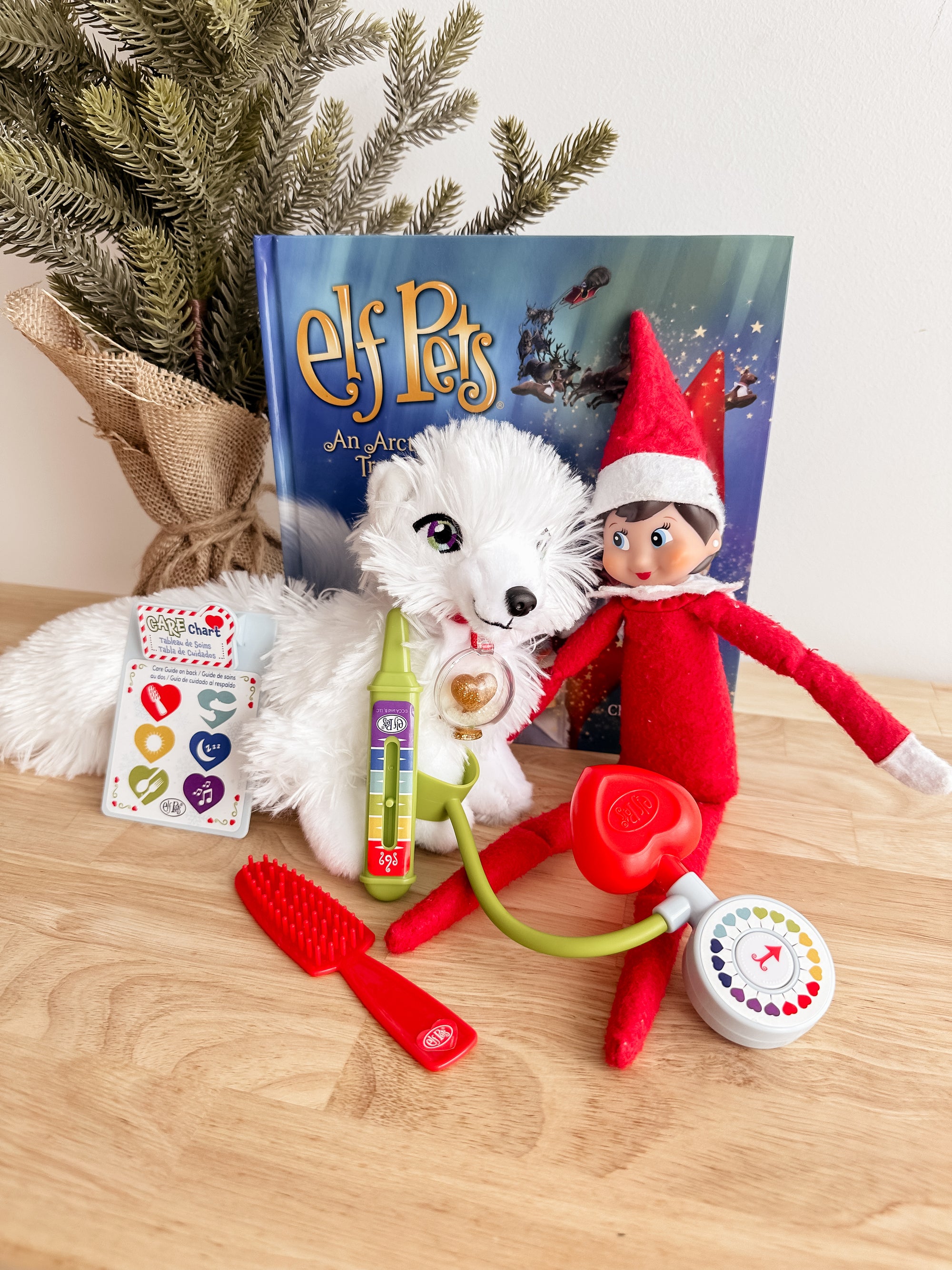 Elf Pets® Cheer Checkup Set