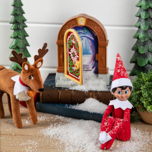 Santaverse™ Magical Elf Door