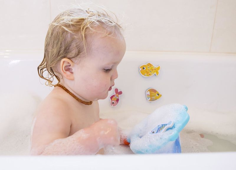 Shark Chasey - Catch a Fish