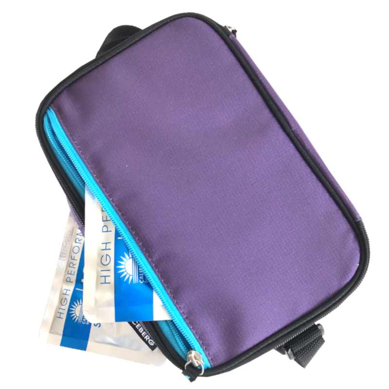 Arctic Zone Dual Lunch Bag - Logan