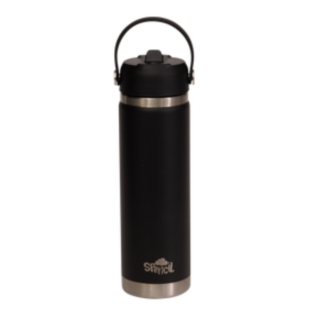 Big Insulated Water Bottle 650ml - Black