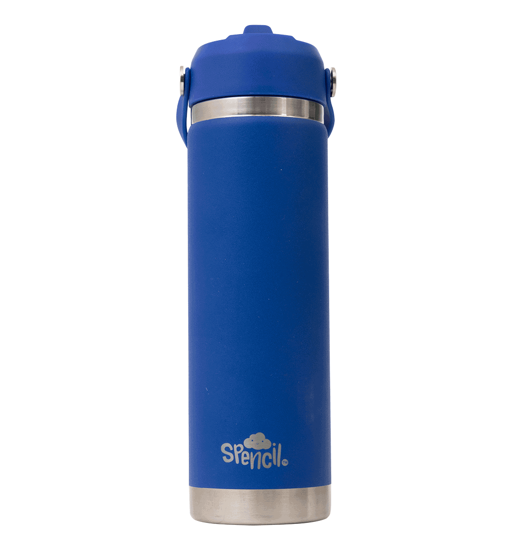 Big Insulated Water Bottle 650ml - Azure