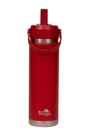 Big Insulated Water Bottle 650ml - Fire