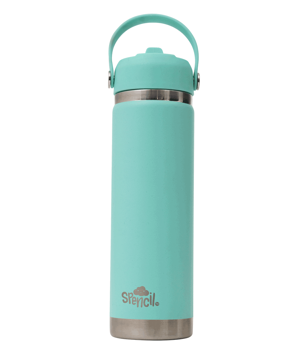 Big Insulated Water Bottle 650ml - Mint