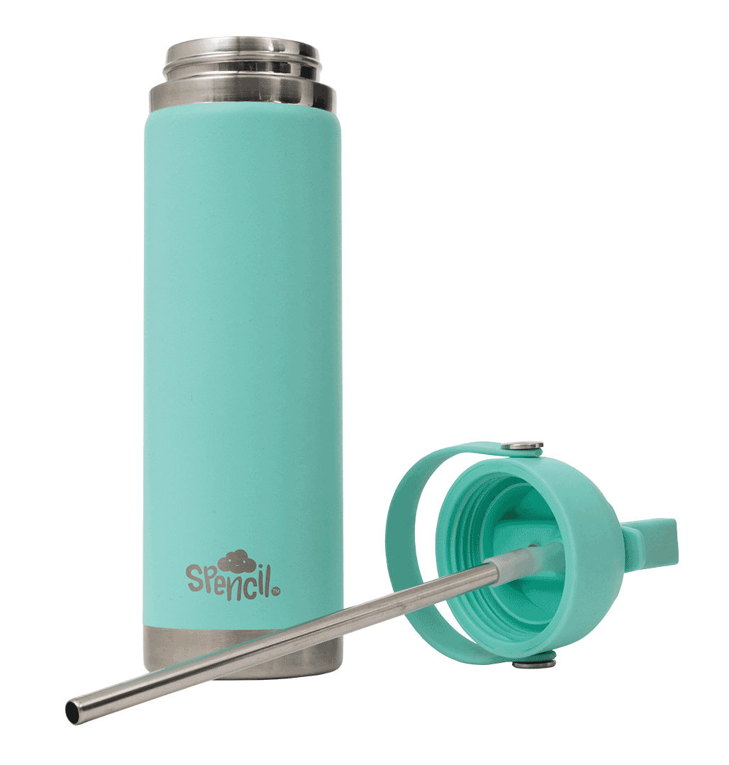Big Insulated Water Bottle 650ml - Mint