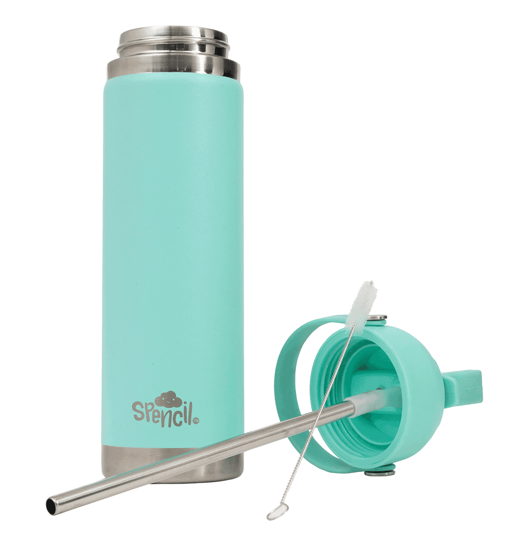 Big Insulated Water Bottle 650ml - Mint