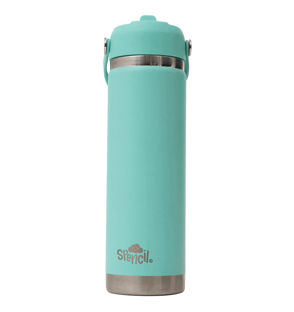 Big Insulated Water Bottle 650ml - Mint