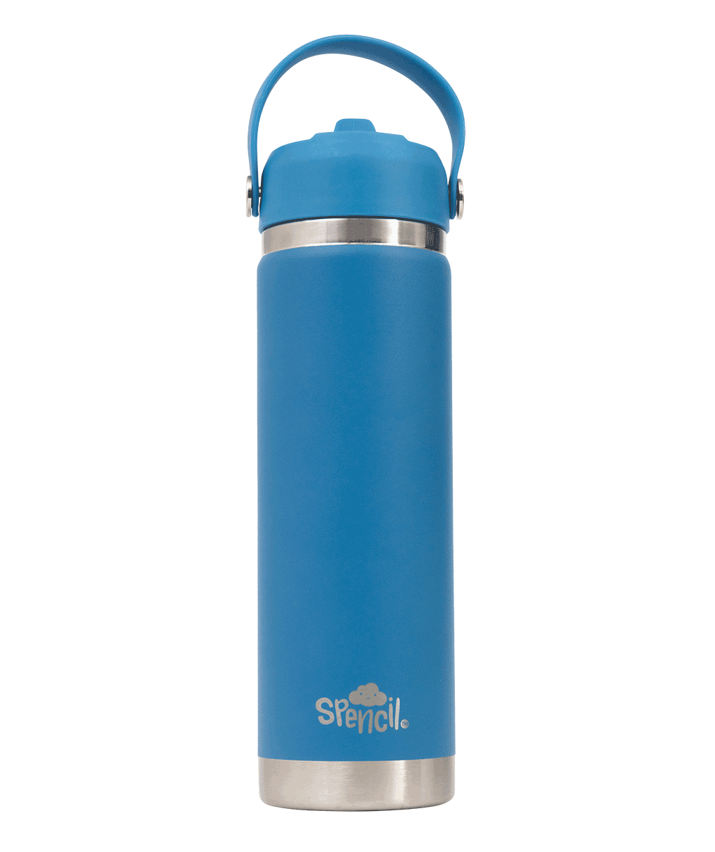 Big Insulated Water Bottle 650ml - Pacific