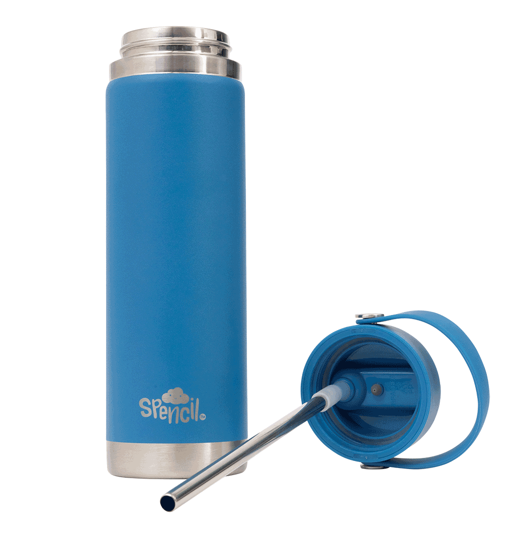 Big Insulated Water Bottle 650ml - Pacific