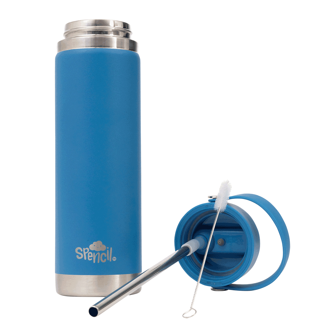 Big Insulated Water Bottle 650ml - Pacific