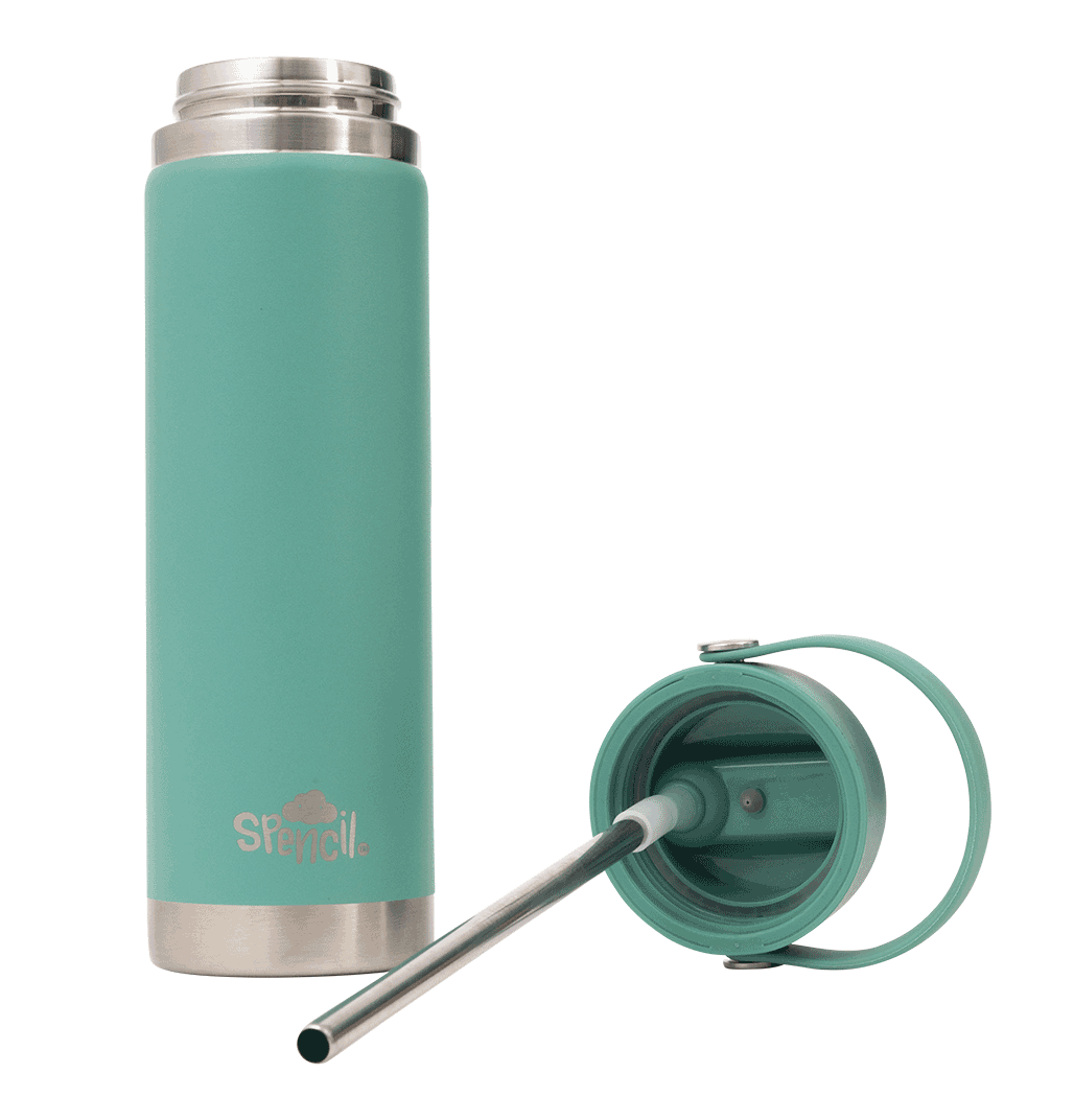 Big Insulated Water Bottle 650ml - Sage