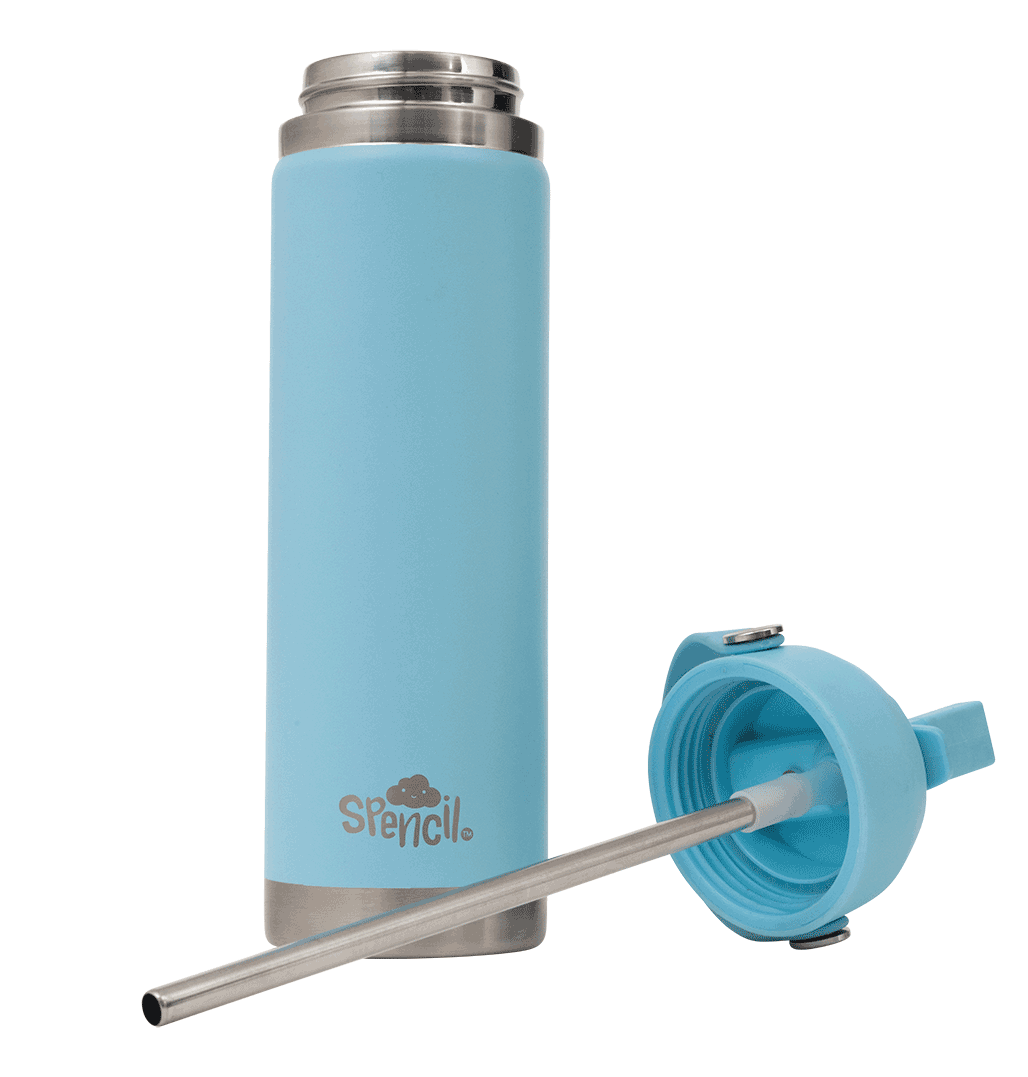 Big Insulated Water Bottle 650ml - Sky