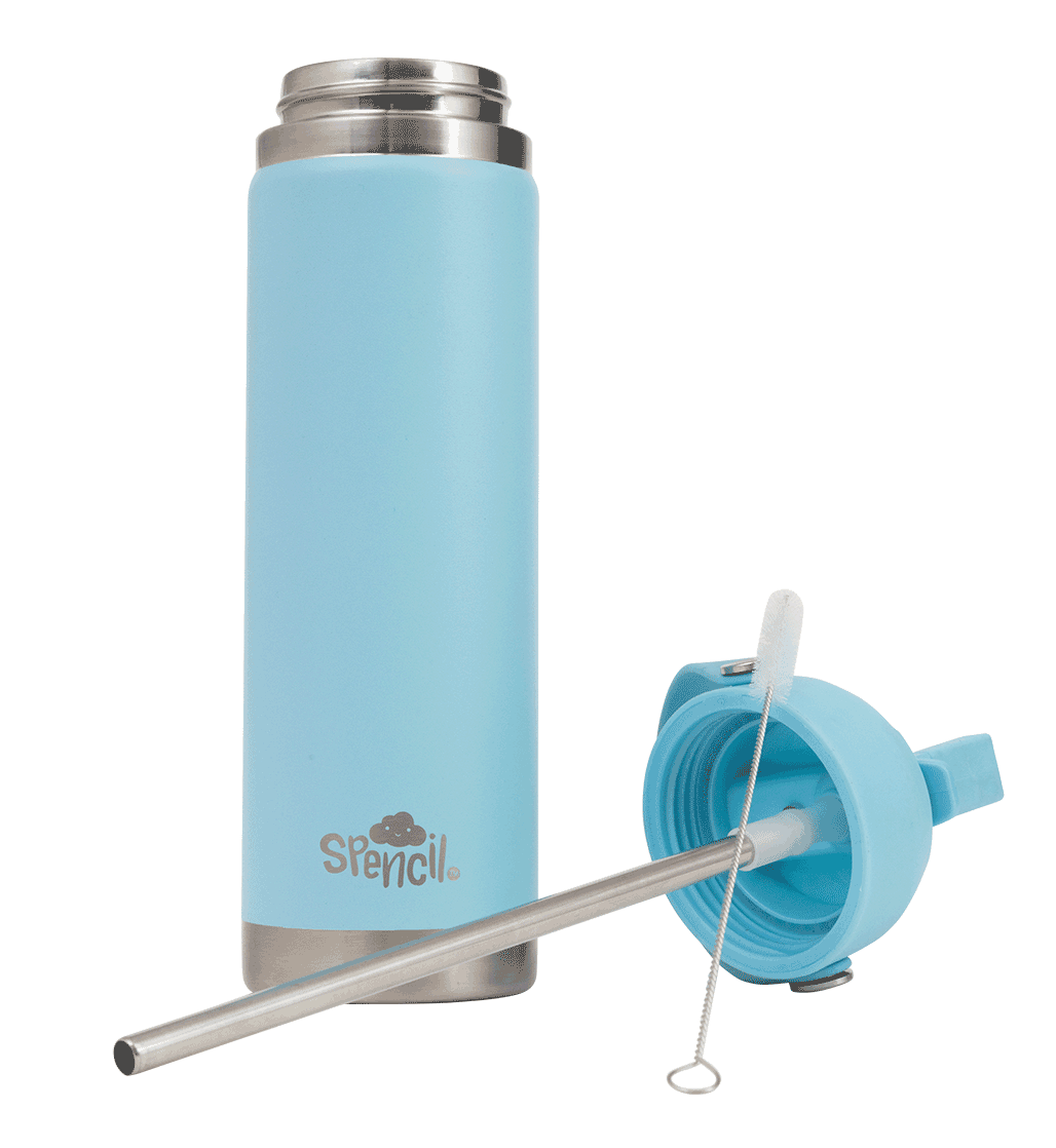 Big Insulated Water Bottle 650ml - Sky