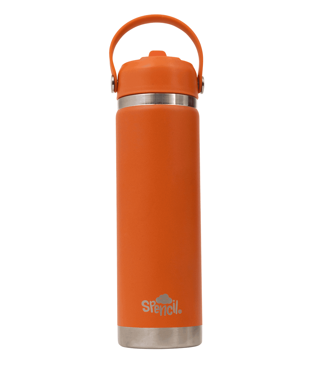 Big Insulated Water Bottle 650ml -Tiger