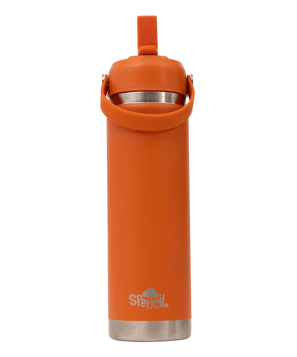 Big Insulated Water Bottle 650ml -Tiger