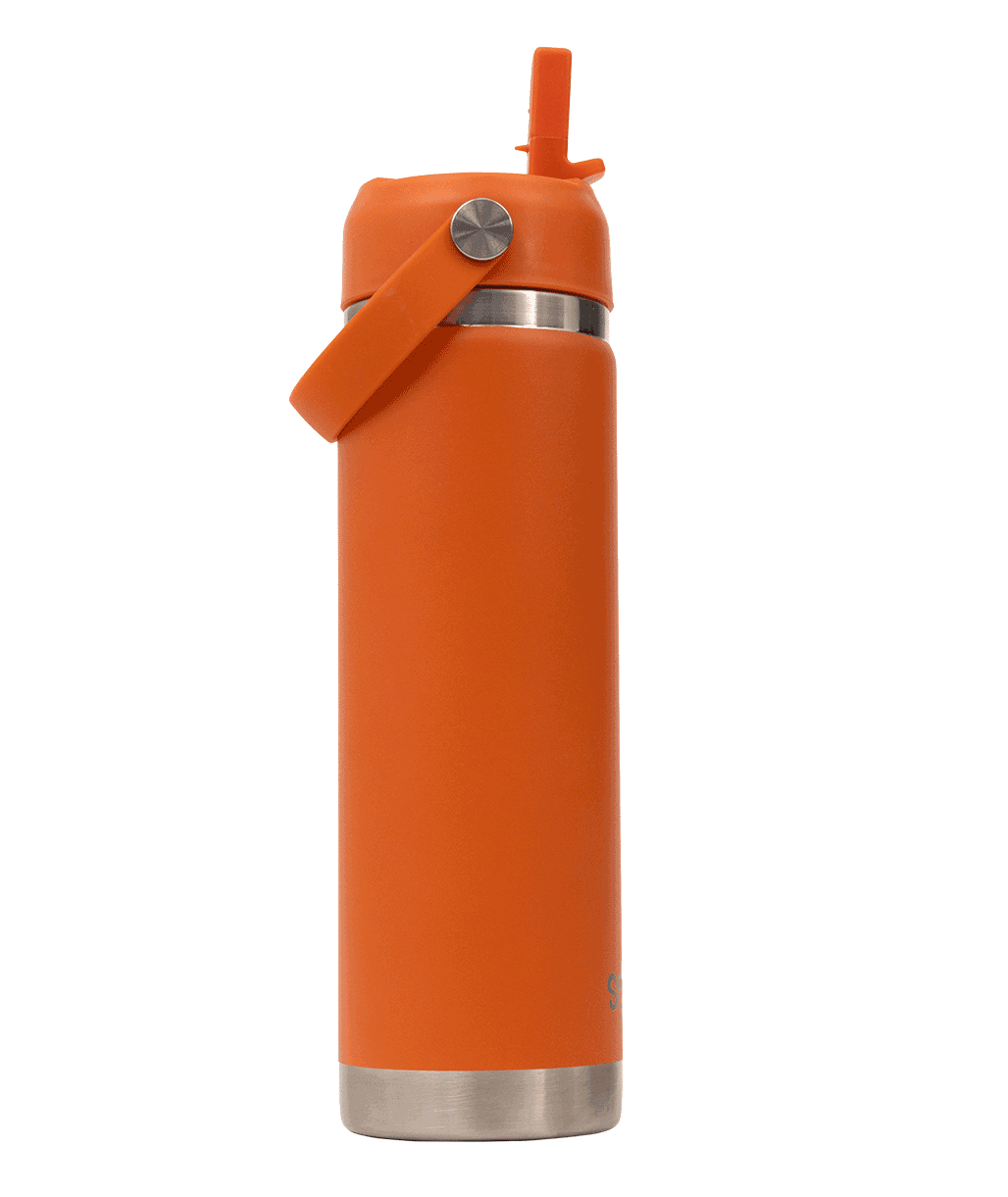 Big Insulated Water Bottle 650ml -Tiger