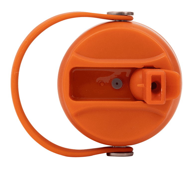 Big Insulated Water Bottle 650ml -Tiger