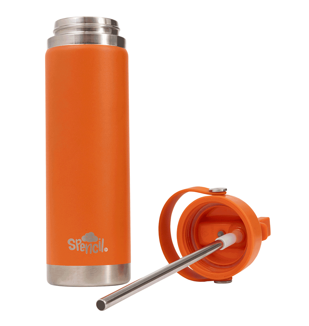 Big Insulated Water Bottle 650ml -Tiger