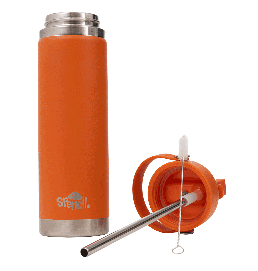 Big Insulated Water Bottle 650ml -Tiger