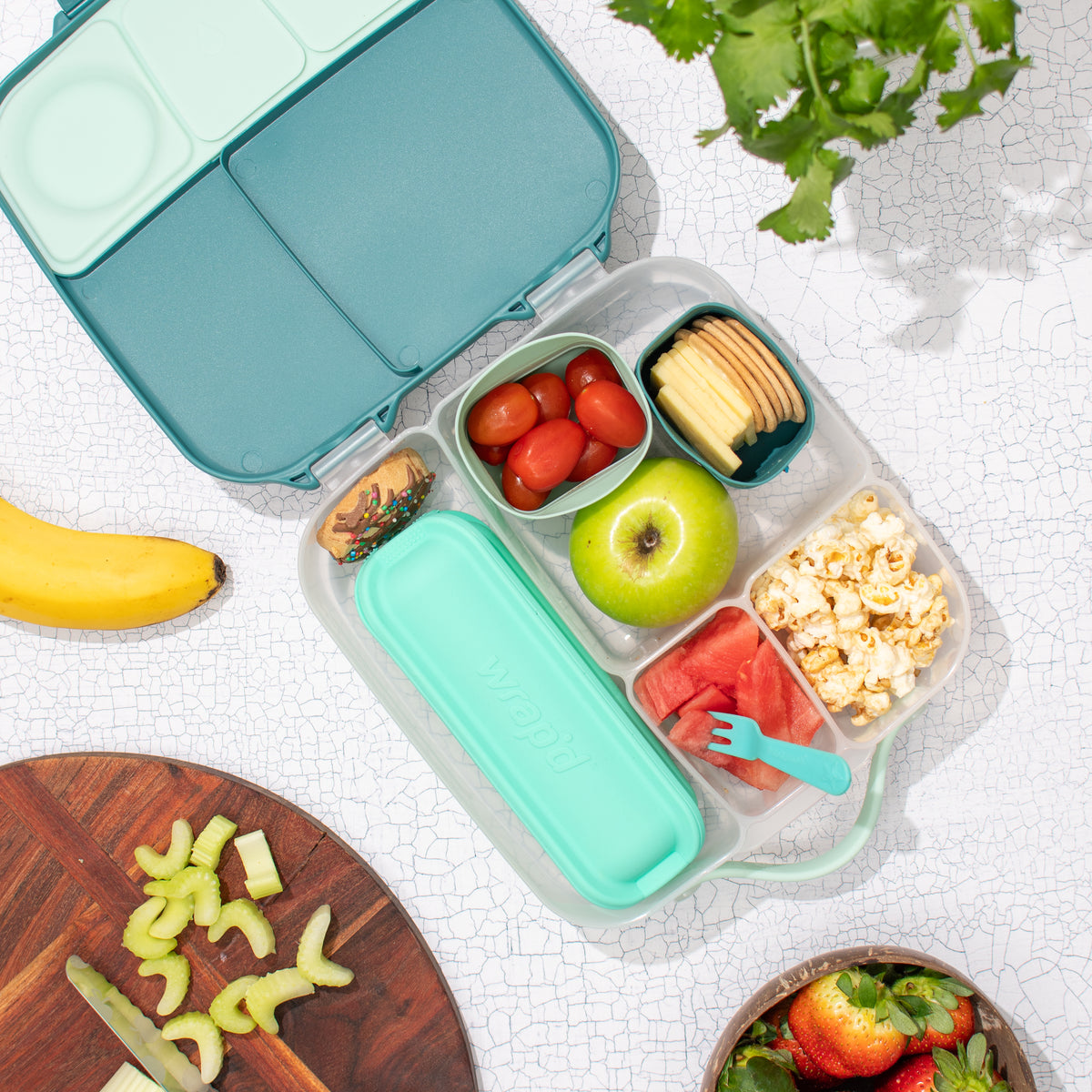 Oasis Stainless Steel 2 Compartment Lunch Box - Turqoise – Lemon