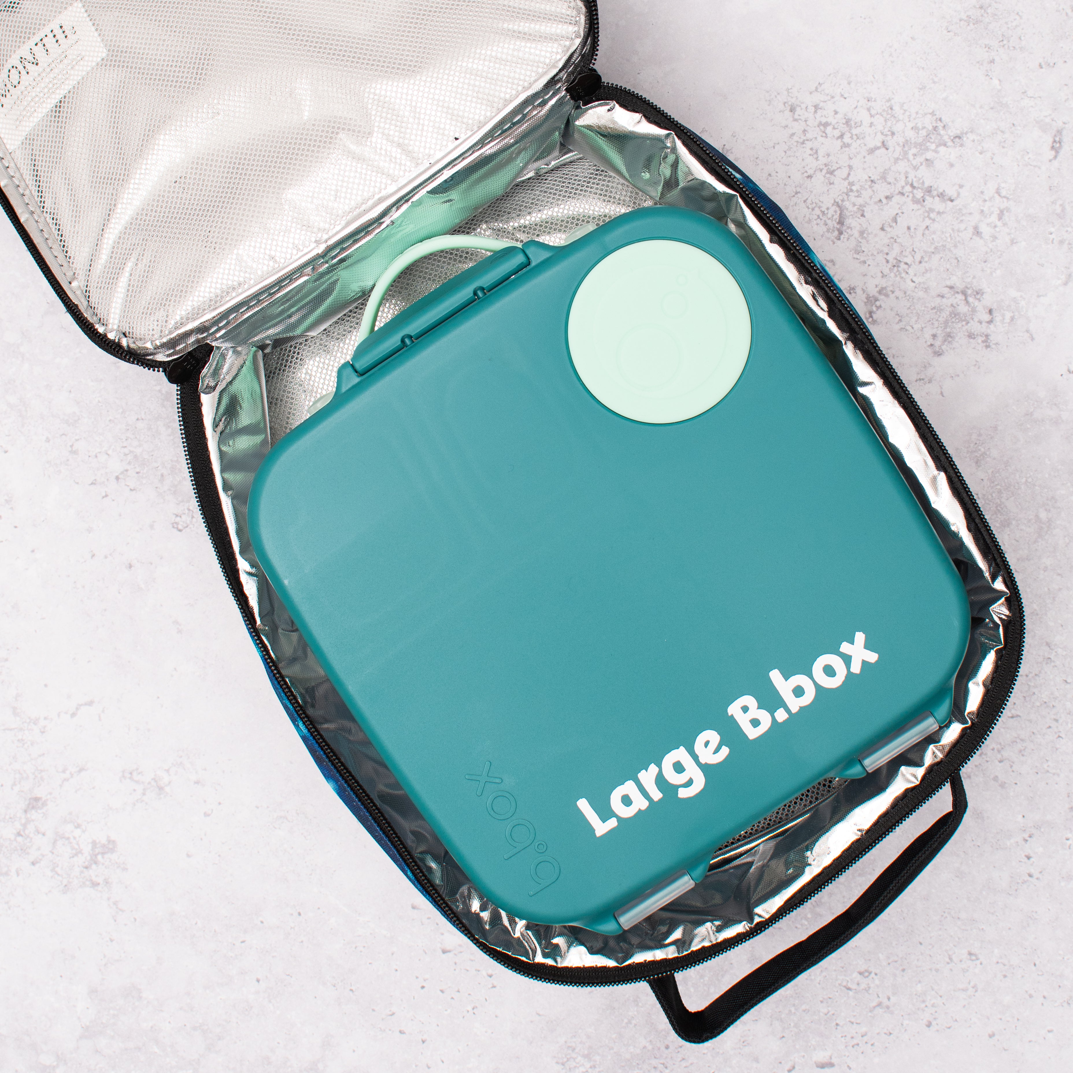 Lunch Box Size Guide Coastal Kidswear
