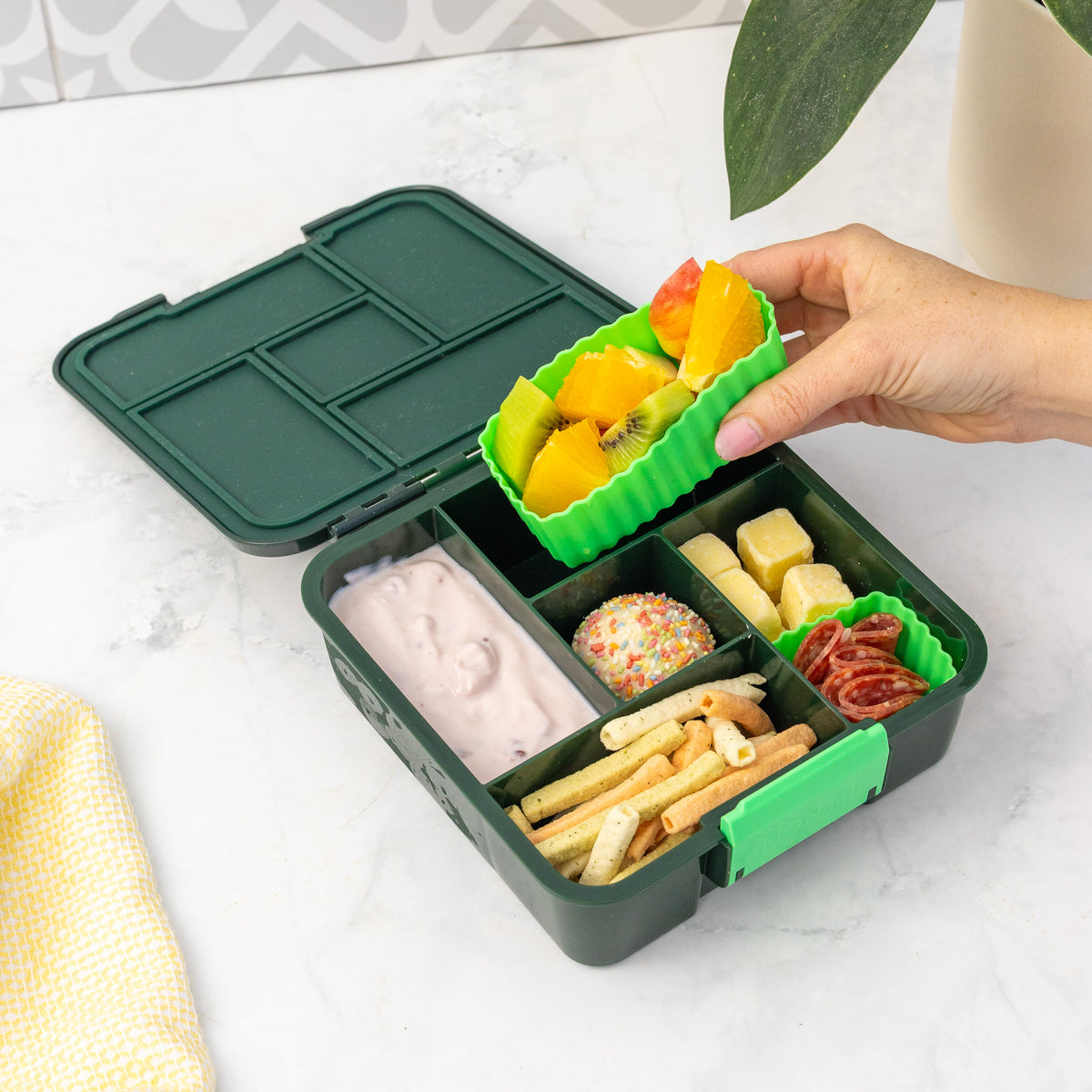 Montiico Bento Five Lunch Box - Dinosaur