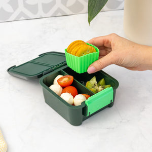 Montiico BENTO 2 - Dinosaur
