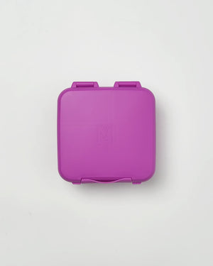 MontiiCo Bite Lunch Box - Fuchsia