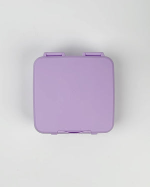 Montiico Feast Box - Lilac