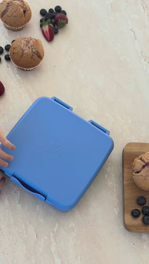 Montiico Feast Box - Blueberry
