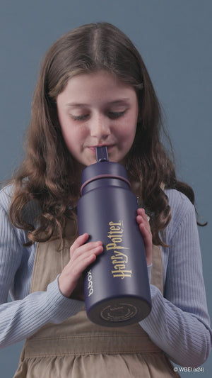 Harry Potter B.box flexi insulated lunch bag