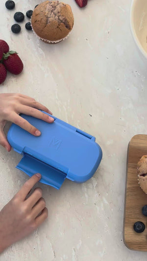 MontiiCo Snack Box - Blueberry