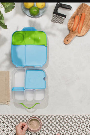 B Box - Lunch Box Large  - Emerald Forest