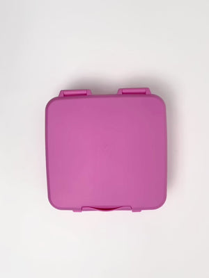 Montiico Feast Box - Floss